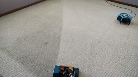 Carpet Stain Removal in Morristown, TN