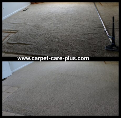 Carpet Cleaning Services in Morristown, TN
