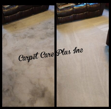 Carpet Cleaning Before and After