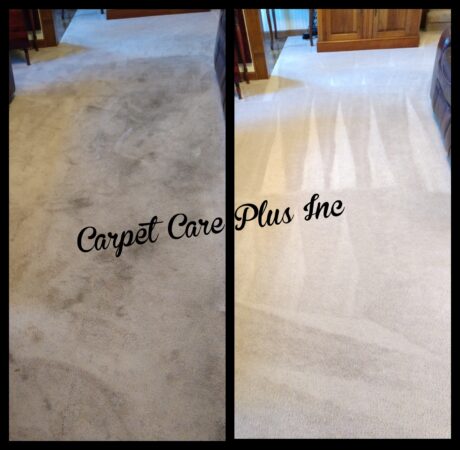 Floor Cleaning Before and After