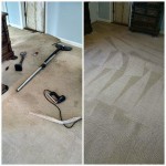 Carpet Services in Morristown TN