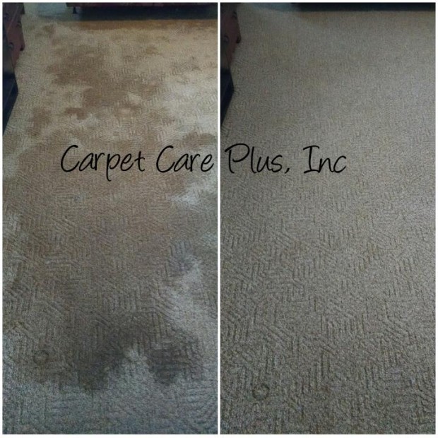 Gallery Carpet Care Plus