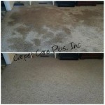 Carpet Services in Morristown TN