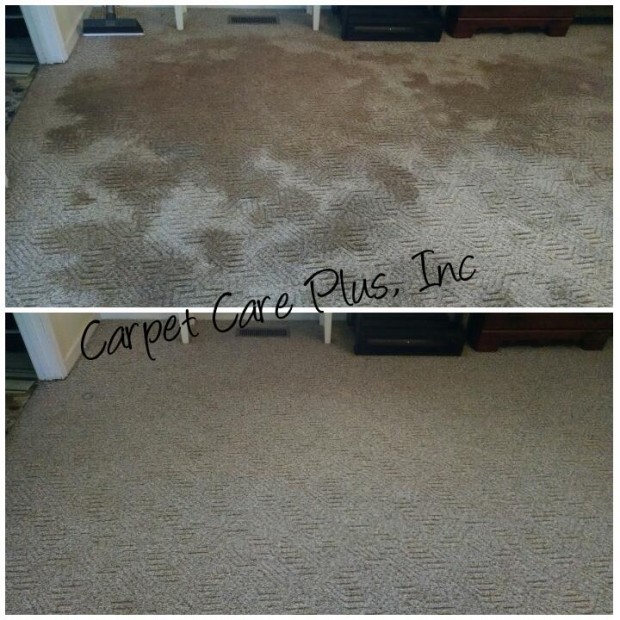 Gallery Carpet Care Plus
