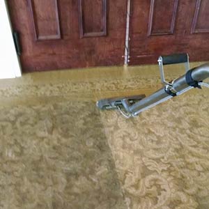 Carpet Cleaners in Morristown, TN | Professional Carpet Care